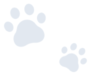 paw-image